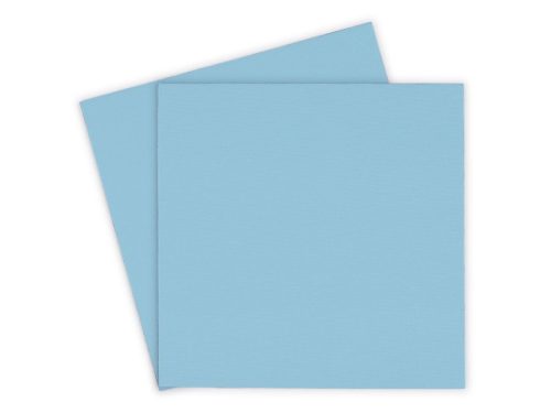 Hővezető lap Thermal Grizzly Minus Pad Pro - 100 x 100 x 1,0 mm