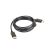 Lanberg DisplayPort 1.2 apa / apa kábel, 3.0m, 4K, fekete - CA-DPDP-10CC-0030-BK