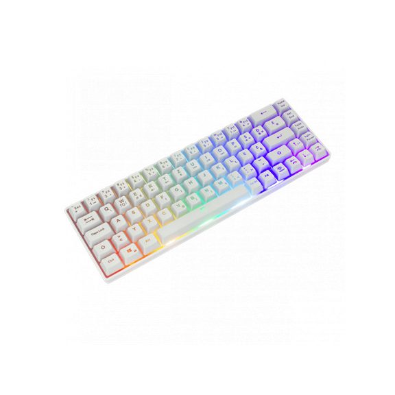 White Shark GK-2201W-HU RONIN vezetékes membrán gamer billentyűzet - fehér - HU