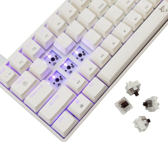 White Shark SHINOBI 2 fehér kompakt mechanikus gaming billentyűzet barna kapcsolókkal, US kiosztással és RGB világítással.